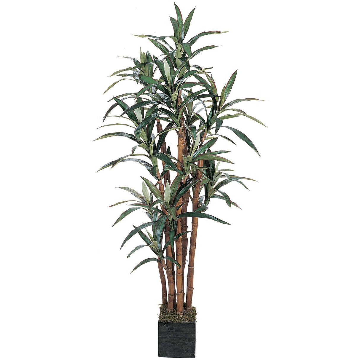 5' Yucca Silk Tree-Parc Decor