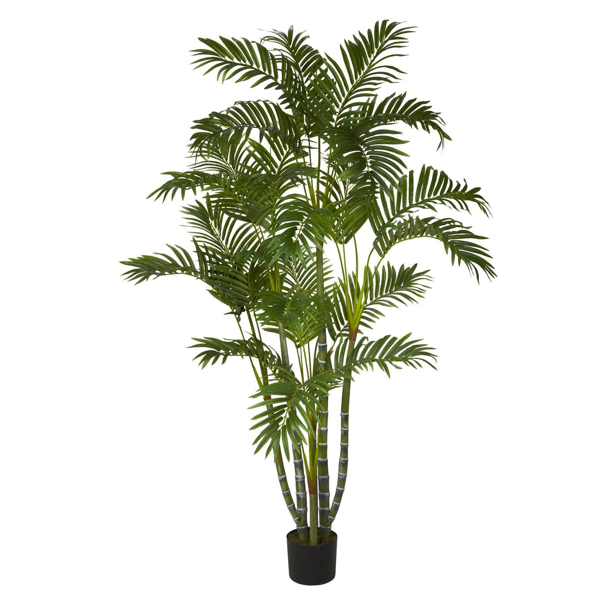 5' Areca Silk Tree-Tree-Parc Decor