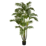 5' Areca Silk Tree-Tree-Parc Decor