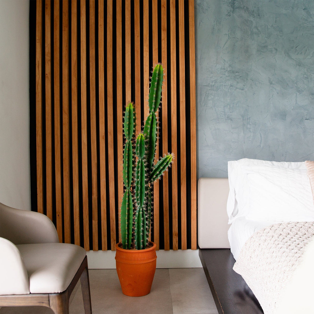 5’ Artificial Cactus in Terracotta Planter-Plant in Planter-Parc Decor