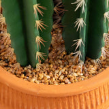 5’ Artificial Cactus in Terracotta Planter-Plant in Planter-Parc Decor