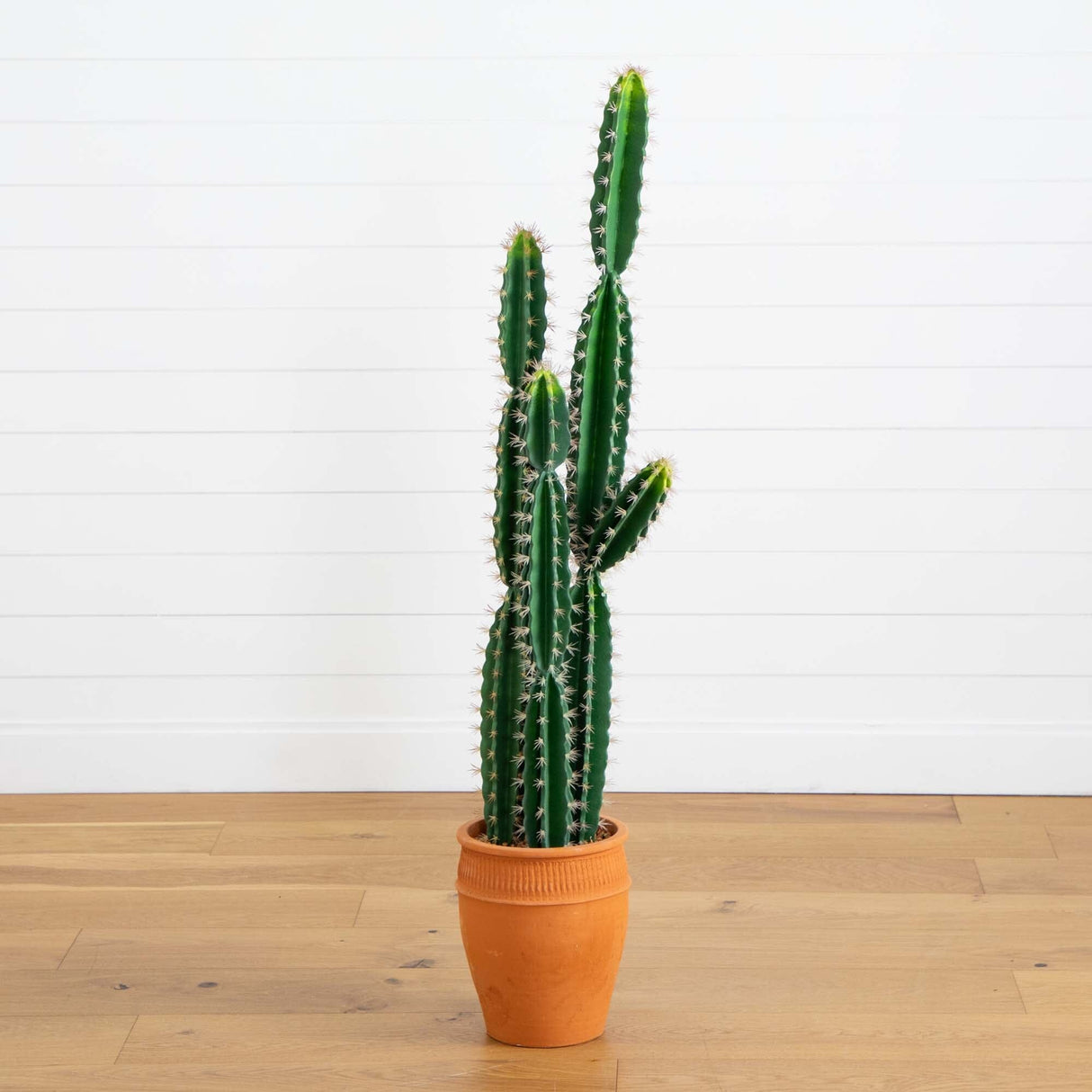 5’ Artificial Cactus in Terracotta Planter-Plant in Planter-Parc Decor
