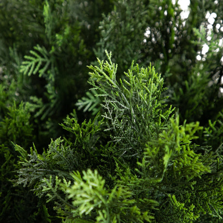 5’ Artificial Cedar Bush UV Resistant (Indoor/Outdoor)-Plant-Parc Decor