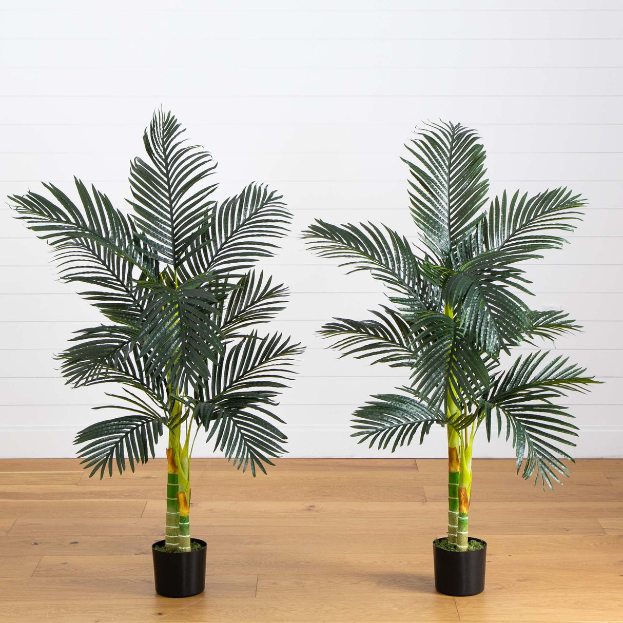 5’ Artificial Double Stalk Golden Cane Palm Tree- Set of 2-Tree-Parc Decor