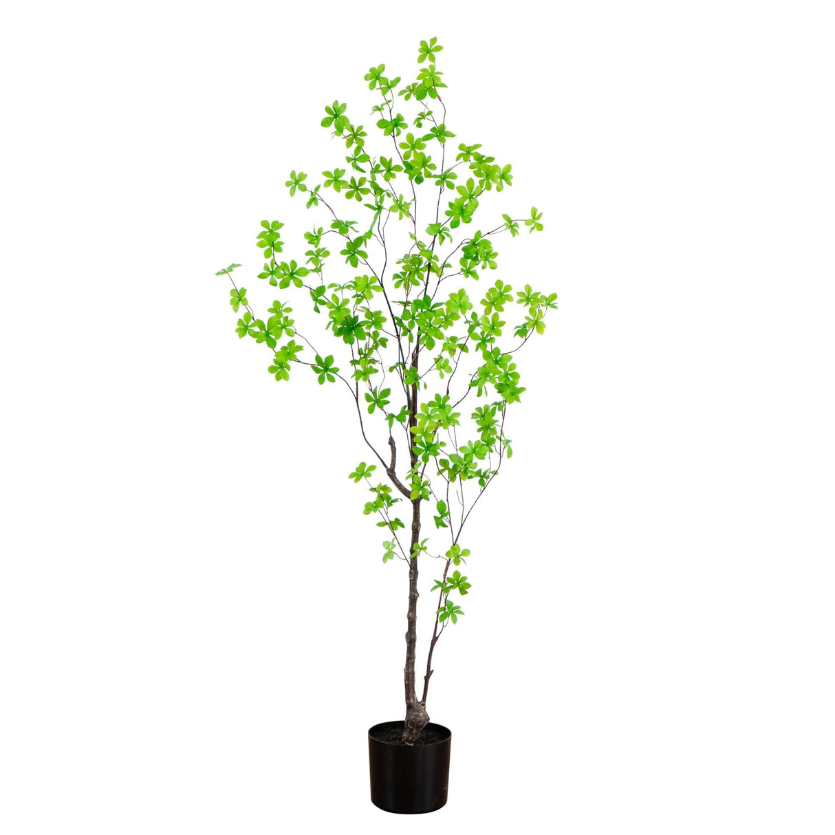 5’ Artificial Minimalist Enkianthus Tree-Tree-Parc Decor