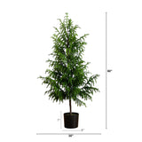 5' Artificial Norfolk Pine Tree-Christmas Tree-Parc Decor