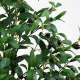 5’ Artificial Olive Tree-Tree-Parc Decor