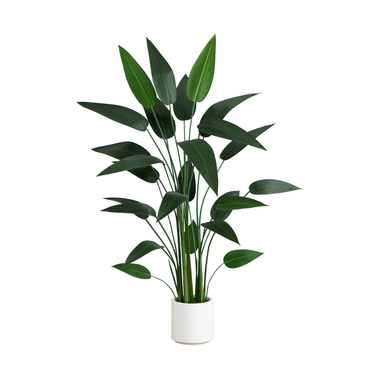 5' Artificial Sky Bird Tree in White Decorative Planter-Tree-Parc Decor