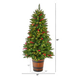 5' Colorado Aspen Pre-Lit Porch Artificial Christmas Tree-Christmas Tree-Parc Decor