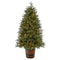 5' Colorado Aspen Pre-Lit Porch Artificial Christmas Tree-Christmas Tree-Parc Decor