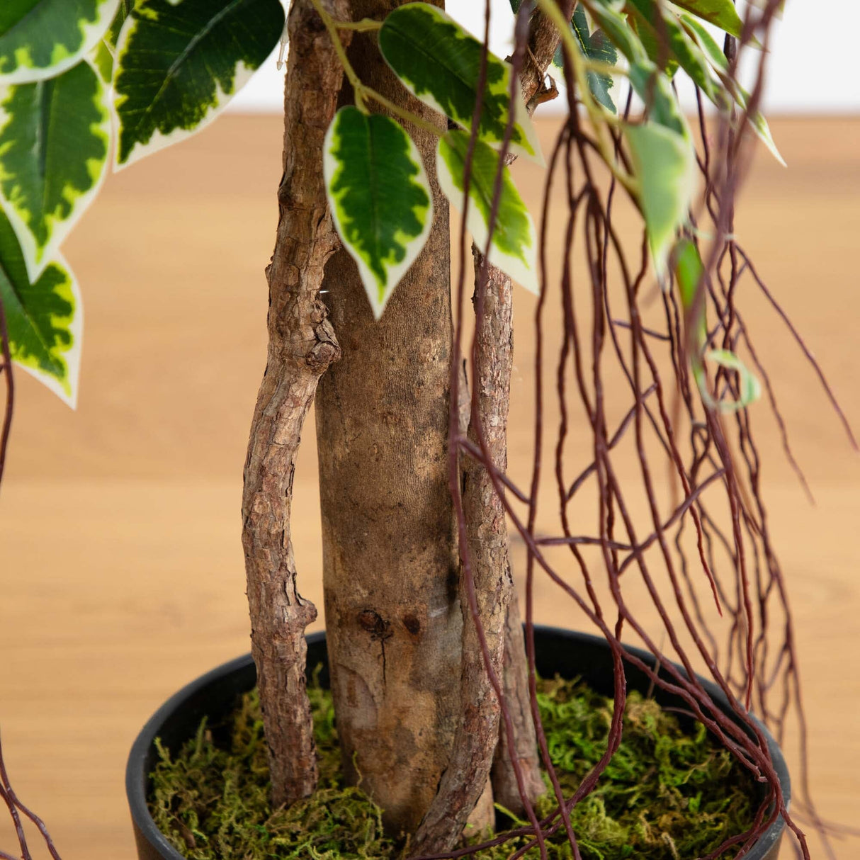 5’ Elegant Ficus Artificial Tree-Tree-Parc Decor