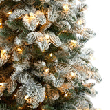 5’ Flocked North Carolina Fir Christmas Tree with 350 Warm White Lights and 1247 Bendable Branches-Christmas Tree-Parc Decor