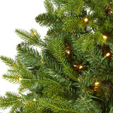 5’ Fraser Fir “Natural Look” Artificial Christmas Tree with 190 Clear LED Lights, a Burlap Base and 1217 Bendable Branches-Christmas Tree-Parc Decor