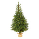 5’ Fraser Fir “Natural Look” Artificial Christmas Tree with 190 Clear LED Lights, a Burlap Base and 1217 Bendable Branches-Christmas Tree-Parc Decor