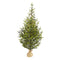 5’ Fraser Fir “Natural Look” Artificial Christmas Tree with 200 Clear LED Lights, a Burlap Base and 853 Bendable Branches-Christmas Tree-Parc Decor