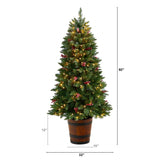 5' Frosted Colorado Aspen Pre-Lit Porch Artificial Christmas Tree-Christmas Tree-Parc Decor