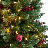 5' Frosted Colorado Aspen Pre-Lit Porch Artificial Christmas Tree-Christmas Tree-Parc Decor