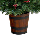 5' Frosted Colorado Aspen Pre-Lit Porch Artificial Christmas Tree-Christmas Tree-Parc Decor