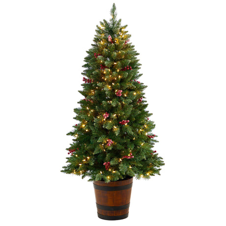 5' Frosted Colorado Aspen Pre-Lit Porch Artificial Christmas Tree-Christmas Tree-Parc Decor
