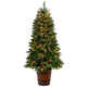 5' Frosted Colorado Aspen Pre-Lit Porch Artificial Christmas Tree-Christmas Tree-Parc Decor