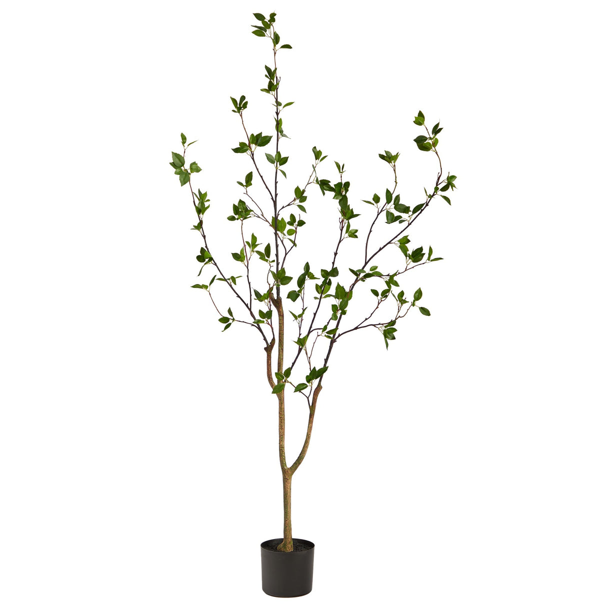 5’ Minimalist Citrus Artificial Tree-Tree-Parc Decor