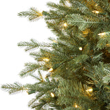 5' New Hampshire Spruce Artificial Christmas Tree with 300 Warm White Lights and 618 Bendable Branches-Christmas Tree-Parc Decor