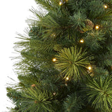5’ North Carolina Mixed Pine Artificial Christmas Tree with 200 Warm White LED Lights, 711 Bendable Branches and Pinecones-Christmas Tree-Parc Decor
