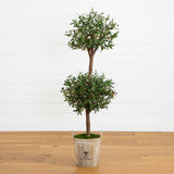 5’ Olive Tree in Farmhouse Planter-Tree-Parc Decor