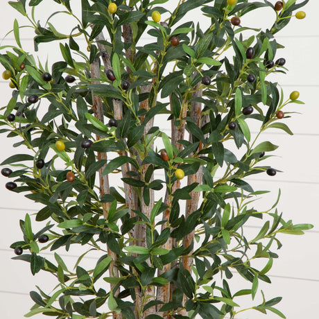 5’ Olive Tree in White Oval Planter-Tree-Parc Decor