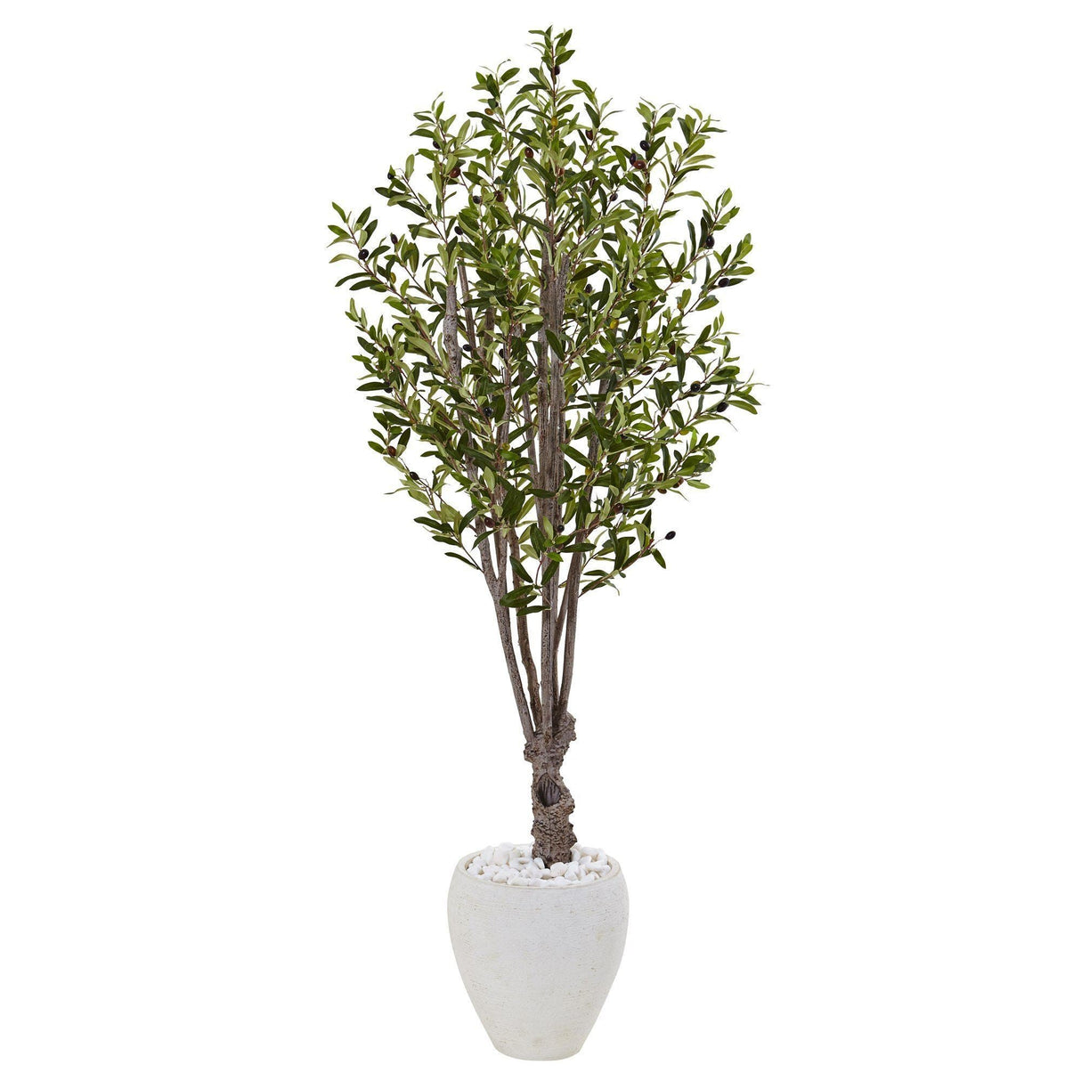 5’ Olive Tree in White Oval Planter-Tree-Parc Decor