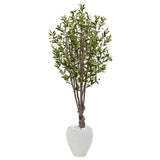 5’ Olive Tree in White Oval Planter-Tree-Parc Decor
