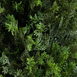 5’ UV Resistant Artificial Cedar Tree in Decorative White Planter (Indoor/Outdoor)-Tree-Parc Decor