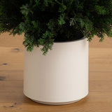 5’ UV Resistant Artificial Cedar Tree in Decorative White Planter (Indoor/Outdoor)-Tree-Parc Decor