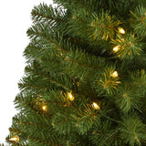 5’ Virginia Fir Artificial Christmas Tree with 200 Clear Lights and 379 Bendable Branches-Christmas Tree-Parc Decor
