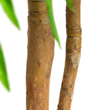 5’ Willow Artificial Tree (Real Touch)-Tree-Parc Decor