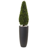 50” Boxwood Topiary with Gray Cylindrical Planter UV Resistant (Indoor/Outdoor)-Parc Decor