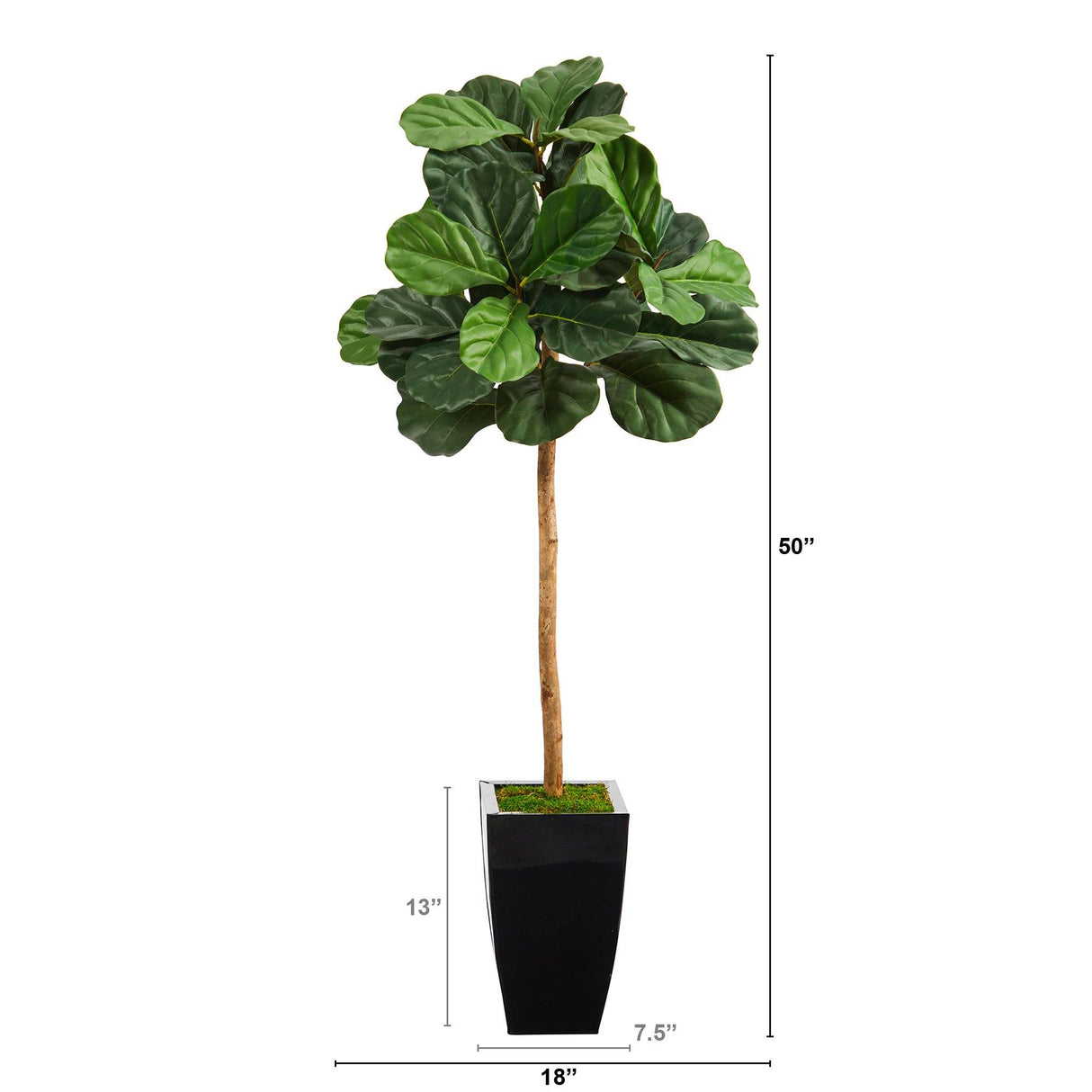 50” Fiddle Leaf Artificial Tree in Black Metal Planter-Parc Decor