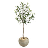 50” Olive Artificial Tree in Sand Colored Planter-Parc Decor
