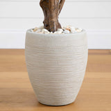 50” Yucca Artificial Tree in Planter (Indoor/Outdoor)-Parc Decor