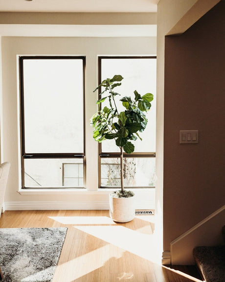 52” Fiddle Leaf Artificial Tree-Parc Decor