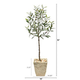 52” Olive Artificial Tree in Country White Planter-Parc Decor