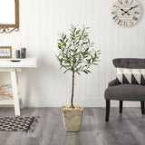 52” Olive Artificial Tree in Country White Planter-Parc Decor