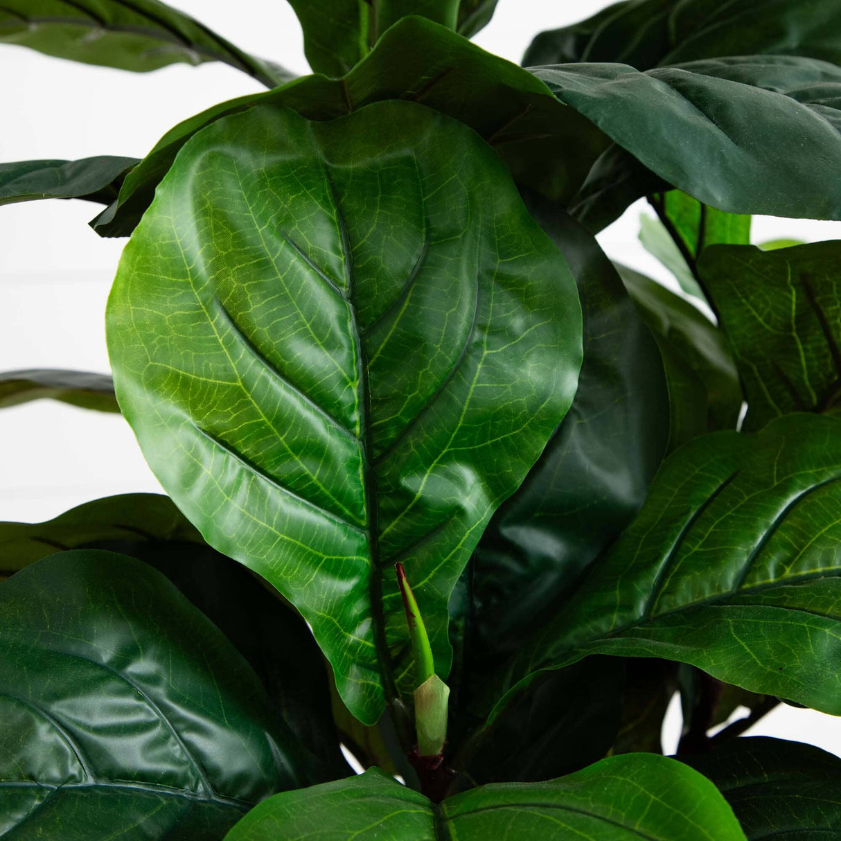 54” Fiddle Leaf Artificial Tree (Real Touch)-Parc Decor