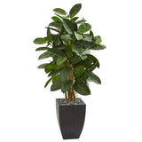 56” Artificial Rubber Tree in Black Planter-Parc Decor