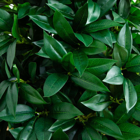 56” Bay Leaf Cone Topiary Artificial Tree UV Resistant in Black Planter (Indoor/Outdoor)-Parc Decor