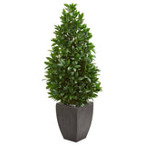 56” Bay Leaf Cone Topiary Artificial Tree UV Resistant in Black Planter (Indoor/Outdoor)-Parc Decor