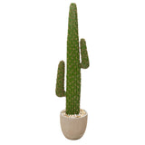 56” Cactus Artificial Plant in Sandstone Planter-Parc Decor