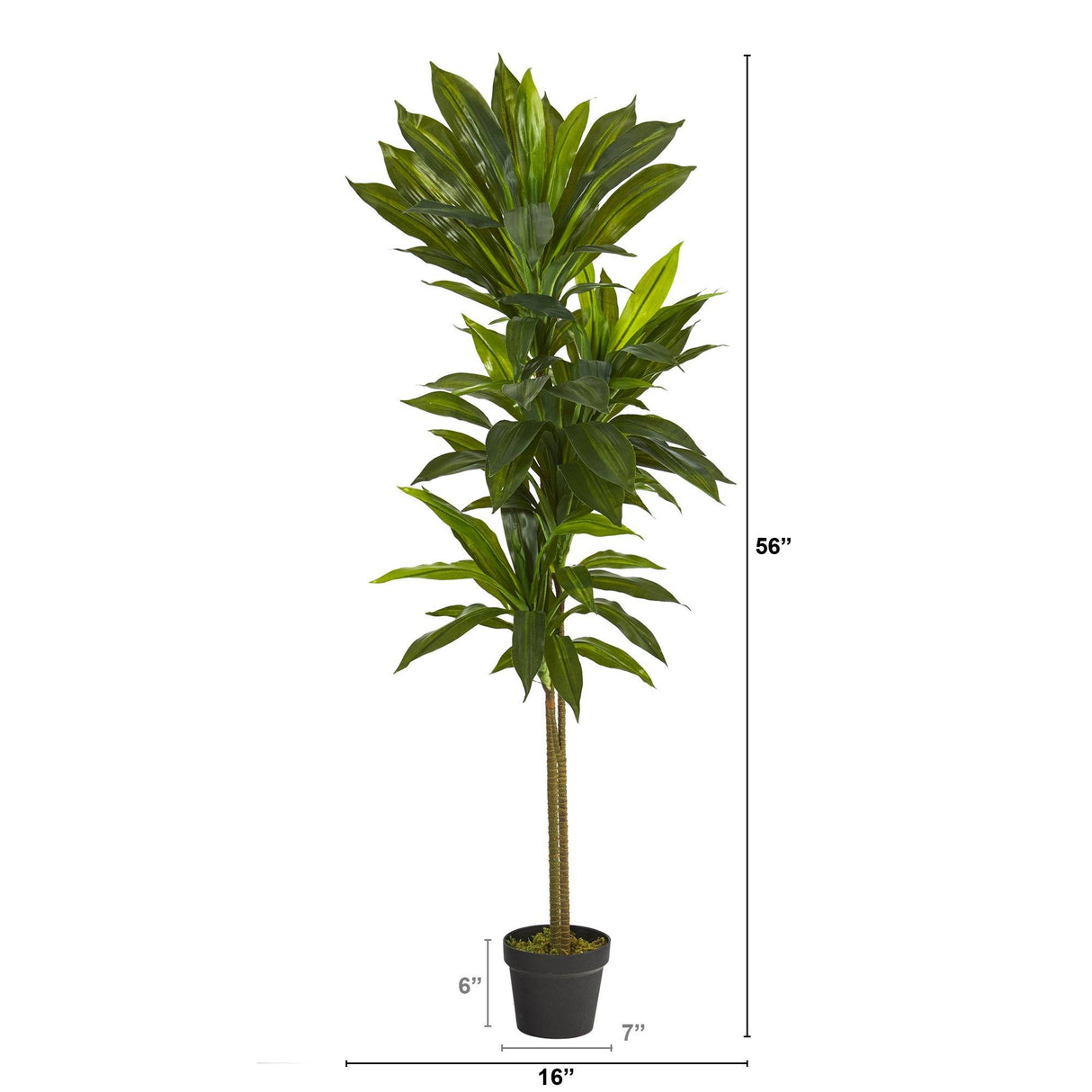 56” Dracaena Artificial Plant (Real Touch)-Parc Decor