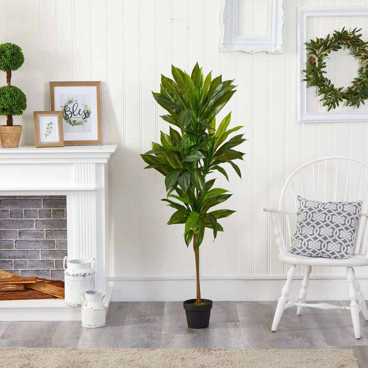 56” Dracaena Artificial Plant (Real Touch)-Parc Decor
