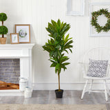 56” Dracaena Artificial Plant (Real Touch)-Parc Decor